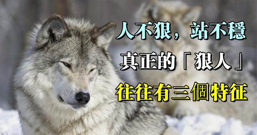 狼道：人不狠，站不穩！真正的「狠人」，往往有三個特徵，錯不了