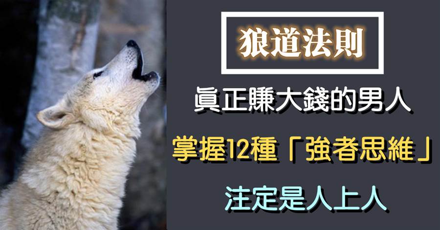 狼道法則：真正賺大錢的男人，掌握12種「強者思維」，注定是人上人